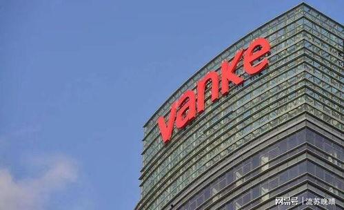 万科爆料最新消息视频播放,项目进展与未来规划深度解析